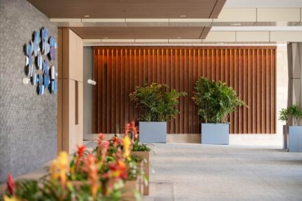decorative wood textured aluminum wall panels with potted palms in front