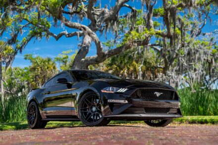 black ford mustang v8 on brick road with trees and blue sky in background