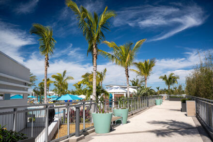 cable and aluminum railing line sidewalk with palm tree, planters and blue skies