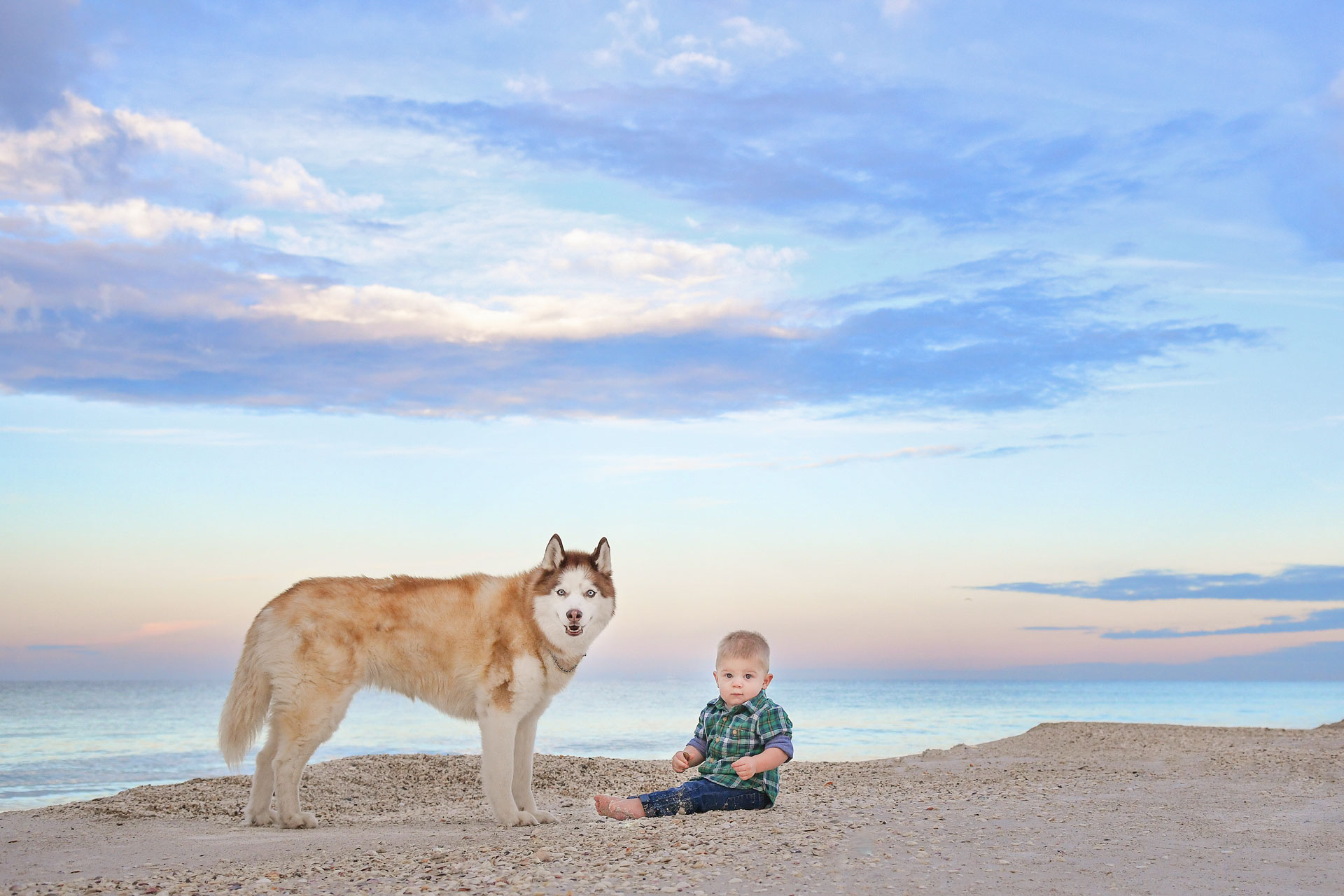 baby boy sitting in sand with his pet dog standing in front of him