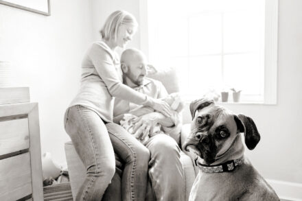 boxer dog looking at camera with mom, dad, and newborn sitting together on chair in background
