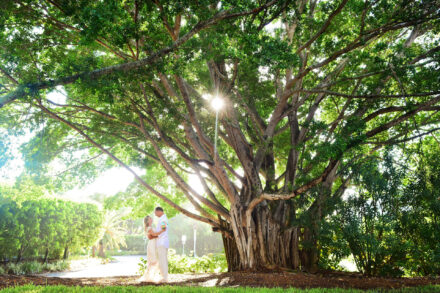 bride and groom embracing under large banyan tree